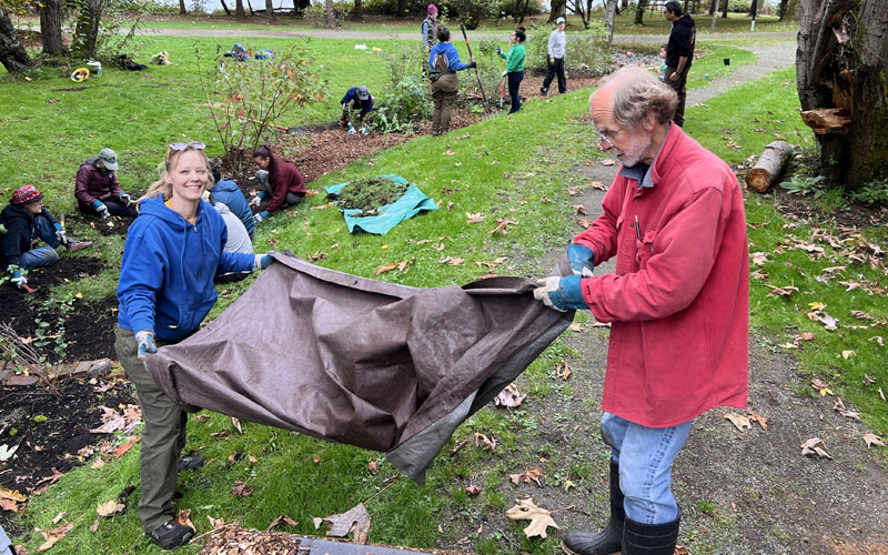 People work together in a grassy park area on a habitat restoration project. In the foreground, two people hold a large tarp, while others in the background plant or tend to vegetation near a pathway. Fallen leaves, tools, and planting materials are scattered around the site, with trees surrounding the area.