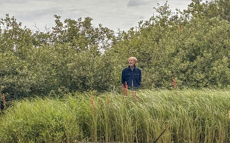 George Blomberg stands partially surrounded by tall marsh grasses in front of dense green shrubs under an overcast sky at a habitat restoration site.