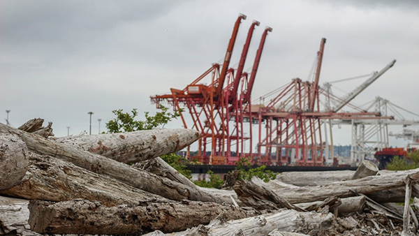 Large driftwood logs in the foreground with tall red and white industrial cranes in the background beneath an overcast sky.