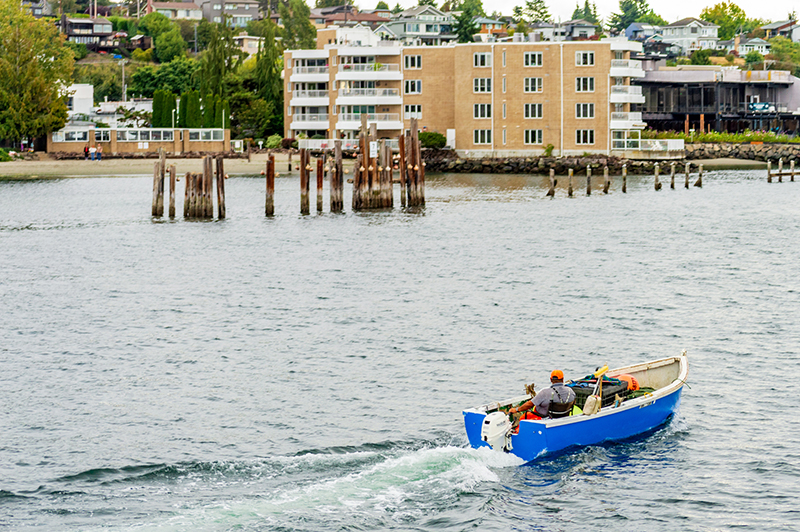 Boat motoring near the Ballard Locks