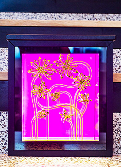 A close‑up view of the artwork “Surface Tensions,” showing a square illuminated panel framed in black. The piece features bright magenta background lighting with delicate yellow linework forming abstract floral shapes across the surface.