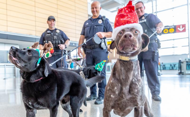 Ther Port of Seattle Police Canine crew is hyped and ready to keep mishaps and mayhem to a minimum at SEA during the 2019 holiday season