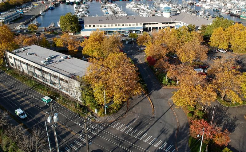 An aerial view of a waterfront area with buildings, streets, parking lots, and many trees with autumn foliage, leading to a harbor filled with boats and docks.