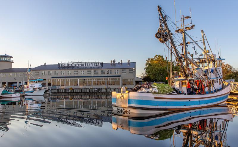 Boat on water in marina at Fishermen's Terminal.