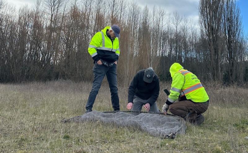 Wildlife Biologists testing Bald Eagle bow net