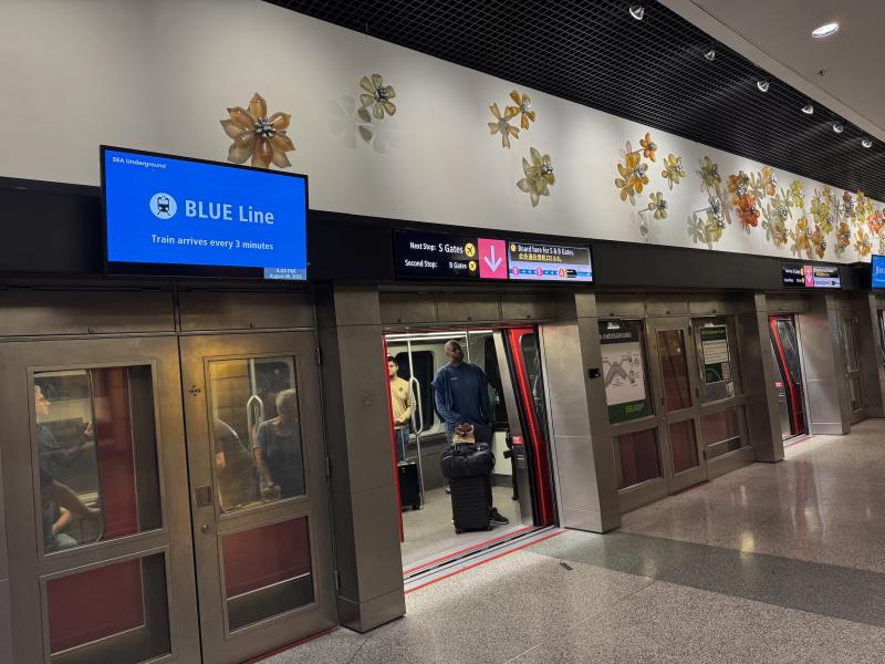 Blue Line South train loop