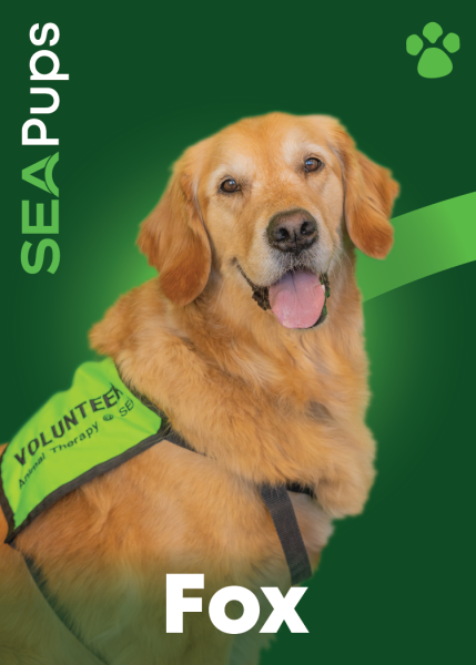Fox the Golden Retriever digital card PDF.