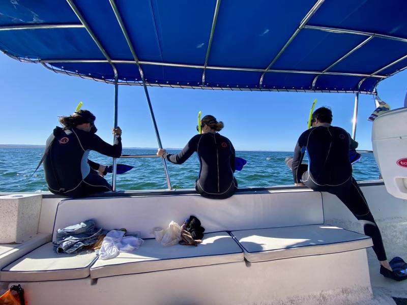 A boating adventure