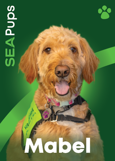 Mabel the Goldendoodle digital card PDF.