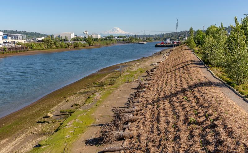 Shoreline of Duwamish River People's Park and Shoreline Habitat along the Duwamish River.