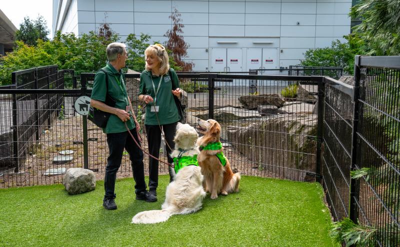 Pets and owners at the relief area with green grass and black fencing outside the terminal on a sunny day