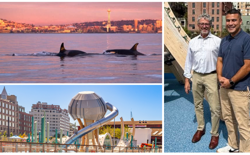 Orcas heading north past Elliott Bay; with Muckleshoot Indian Tribe Chairman Jaison Elkins at the opening of Pier 58’s Waterfront Park; new aquatic-themed playground at Pier 58.