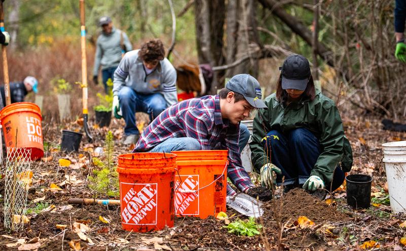 SEA tree planting event