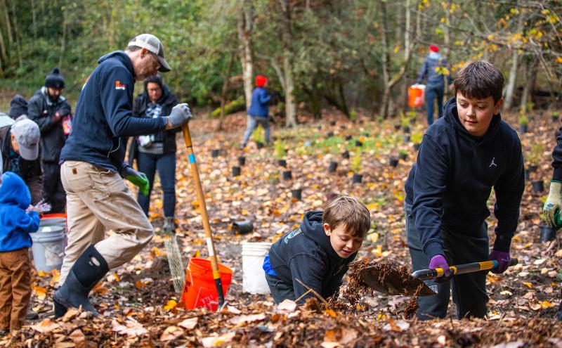 Port staff and community members plant trees 
