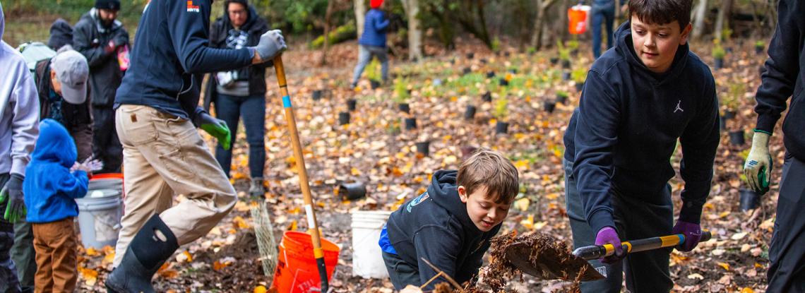 Port staff and community members plant trees.