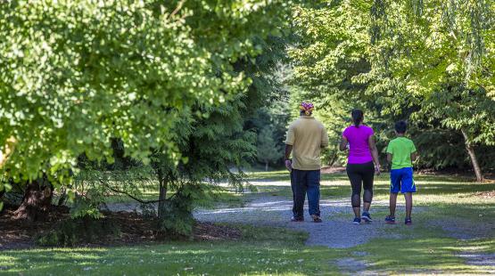 Environment and Sustainability