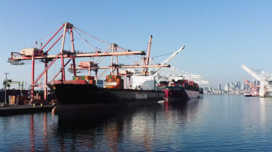 COVID-19 Changed Business as Usual