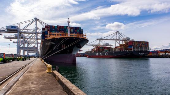 Maritime Start-ups Develop Efficient, Sustainable Shipping Solutions