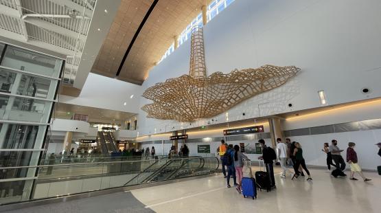 Feel-Good Green Features of the New North Satellite