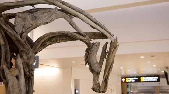 What’s New and Next for Public Art at the Port