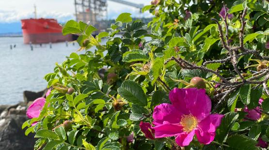 Protecting the Earth Every Day