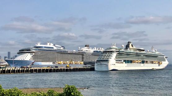 Cruise in 2022: Routine Schedule, Innovative Operations