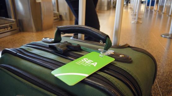 Pack Like a Pro: Best Baggage Tips From SEA