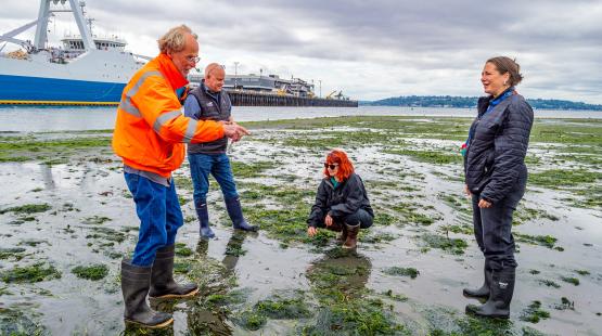 Life at Low Tide ― Intertidal Organisms at Smith Cove