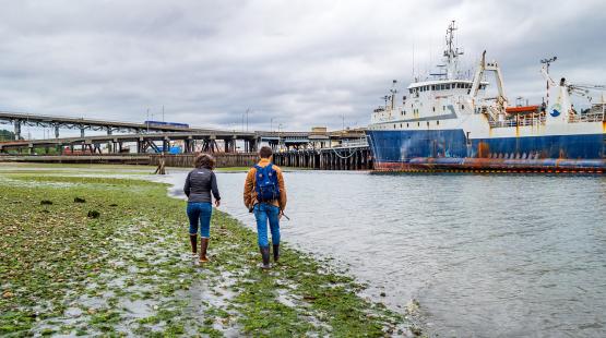 Reflections on a Year at the Port