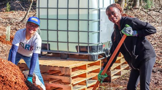 2025 Community Planting Event