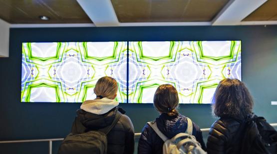 2025 Wrapped: A Huge Year for Upgrade SEA Public Art