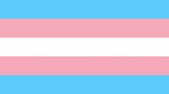 Information for Transgender, Non Binary, and Gender Nonconforming Travelers